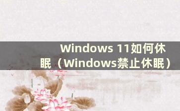 Windows 11如何休眠（Windows禁止休眠）